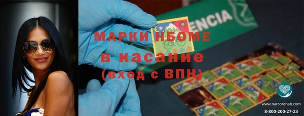 тгк Новодвинск