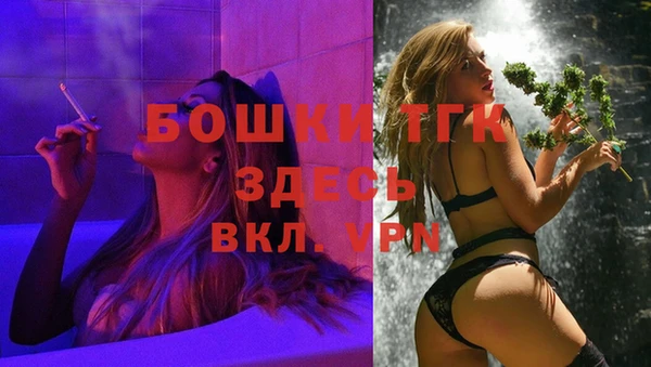 дмт Няндома
