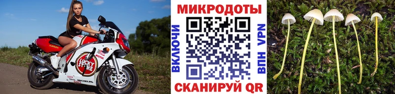 Галлюциногенные грибы мицелий  где продают   Серафимович 